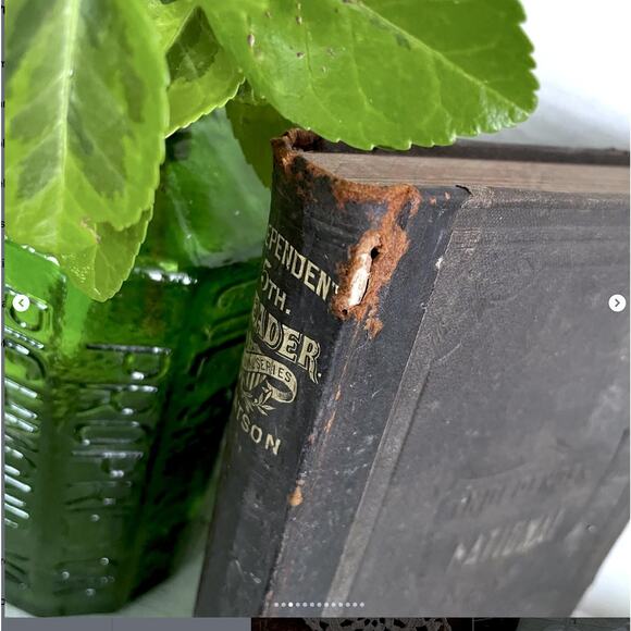 Antique Shabby School Book Independent Fifth Reader Illustrated Marble Edge 1883 - Picture 3 of 10